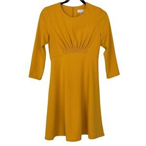 Calvin Klein Fit & Flare Dress - Size 4P